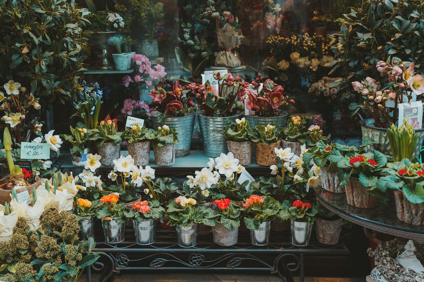Blomsterbutikens skyltfönster med krukväxter och snittblommor.